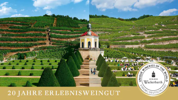 Sächsisches Staatsweingut Schloss Wackerbarth