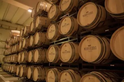 Bodegas Murviedro