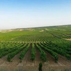 Fincas de Azabache
