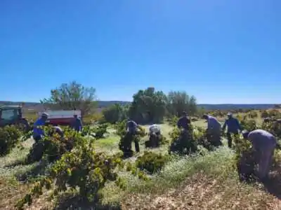 Bodegas Murviedro