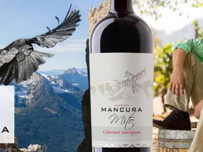 Mancura Wines